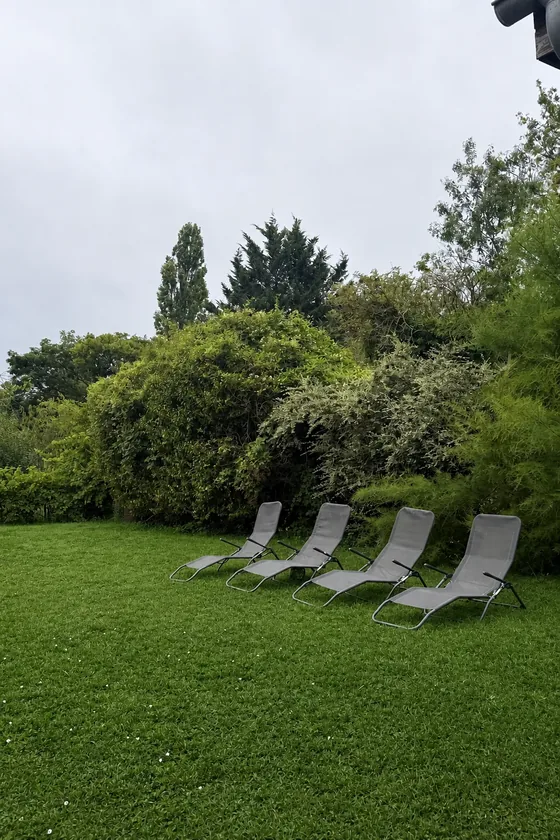 Chaises longues sur la pelouse