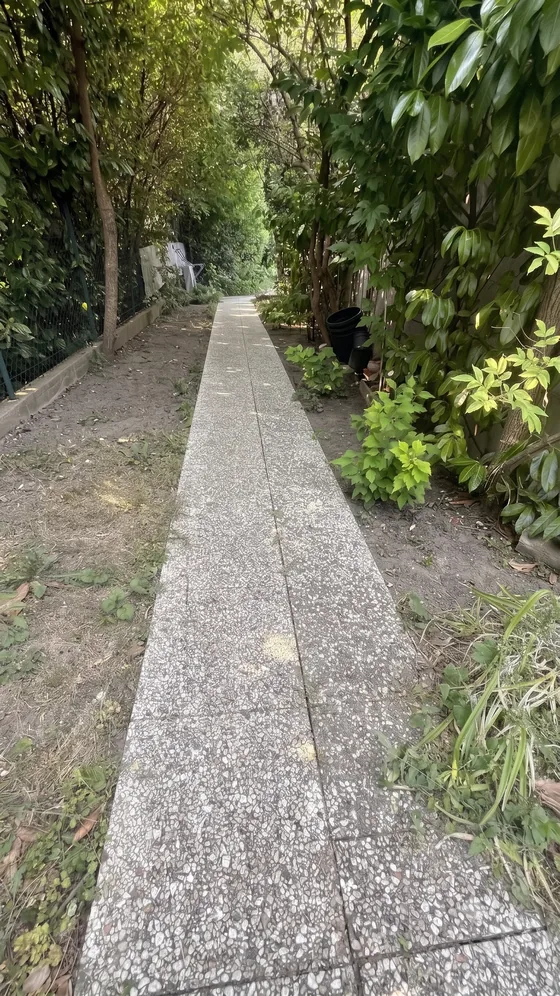 Allée dallée bordée d'arbustes menant au jardin de Sarcelles